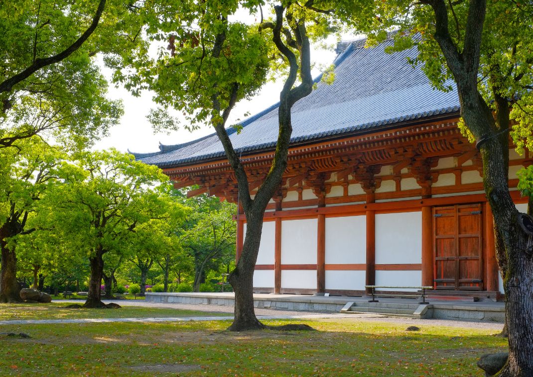 Edificio tradicional de templo japonés rodeado de árboles verdes bajo la luz del sol.