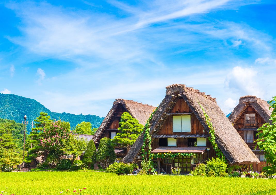 Casas tradicionales japonesas con techo de paja rodeadas de campos de arroz verdes y montañas bajo un cielo azul brillante.