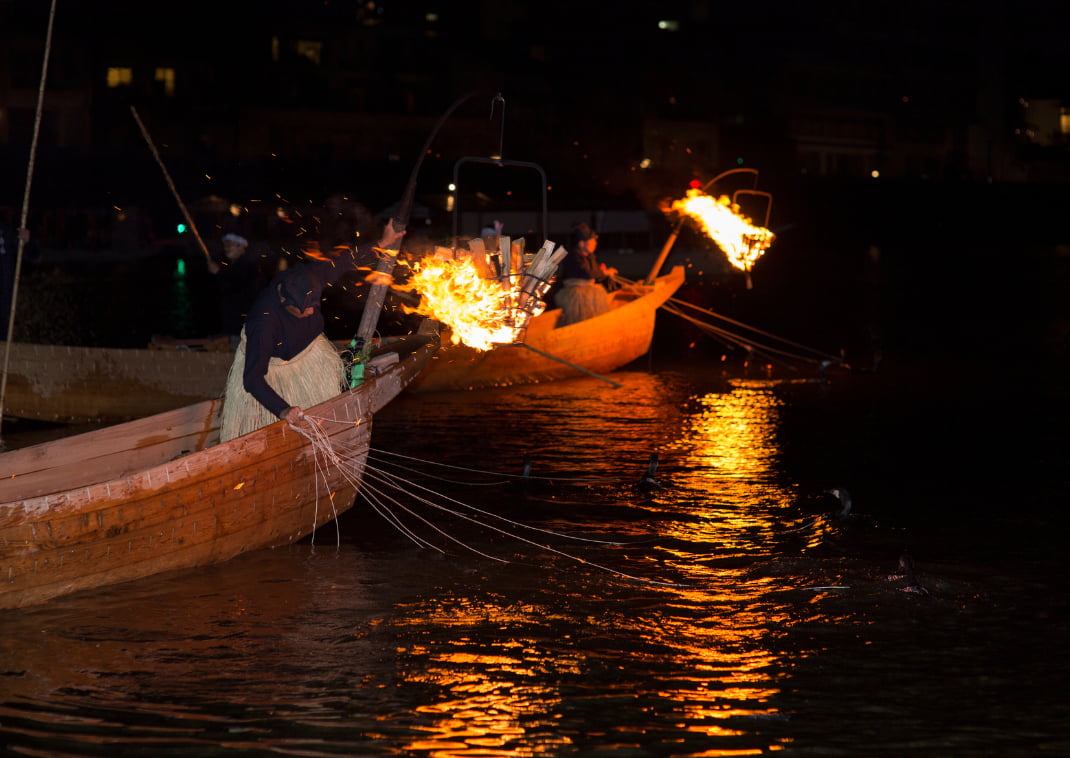 Ukai (antiguo método de pesca para capturar peces dulces utilizando cormoranes domesticados). En el Ukai del río Nagara-gawa, se realiza la pesca utilizando 12 cormoranes a la vez.