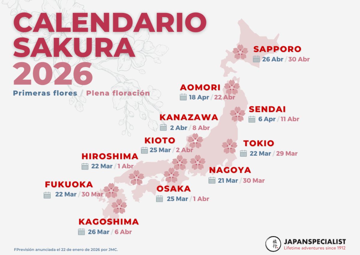 pronostico oficial de la floración de los cerezos en japon 2026