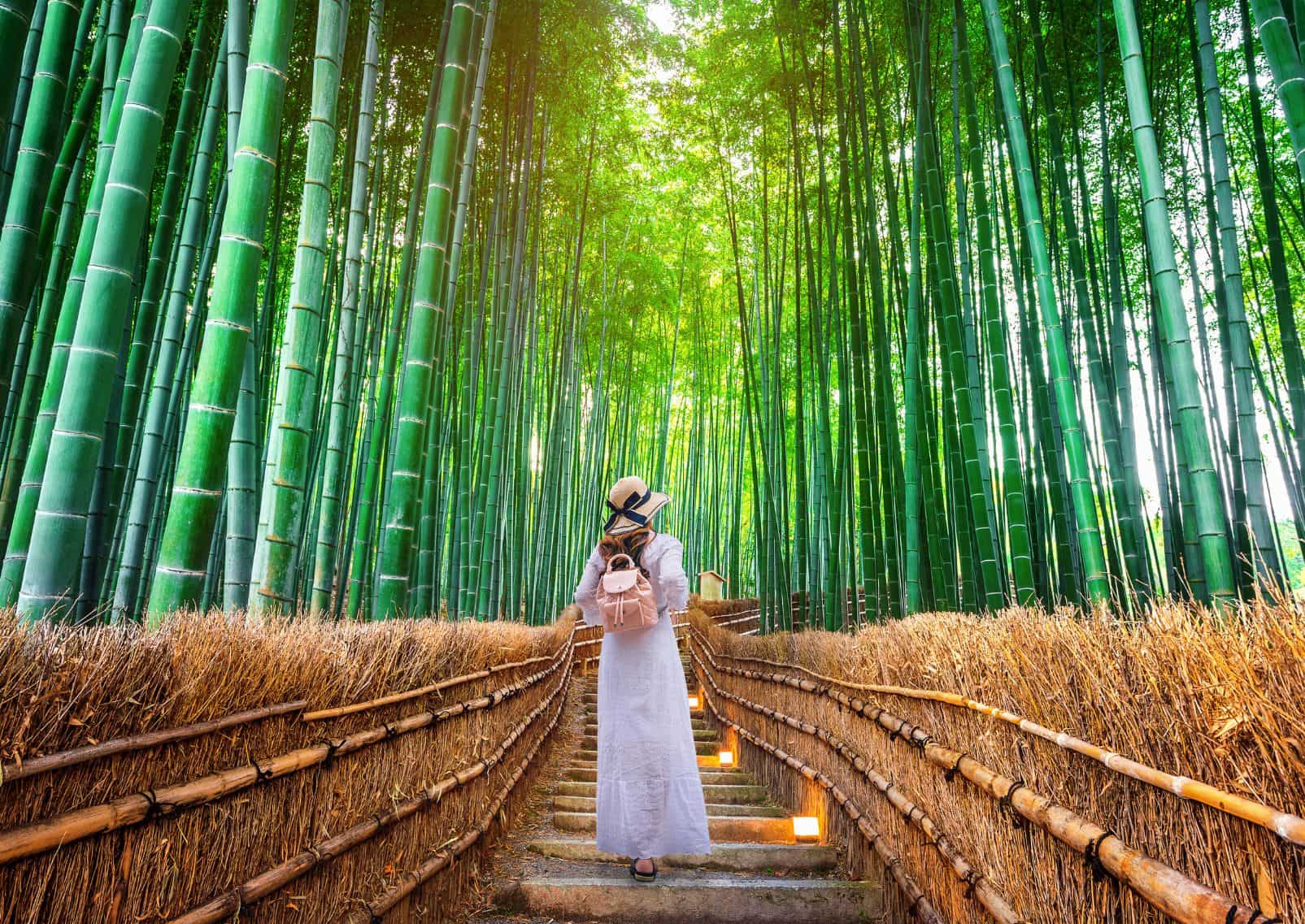 Mujer paseando por el bosque de bambú de Arashiyama, Kioto, Japón