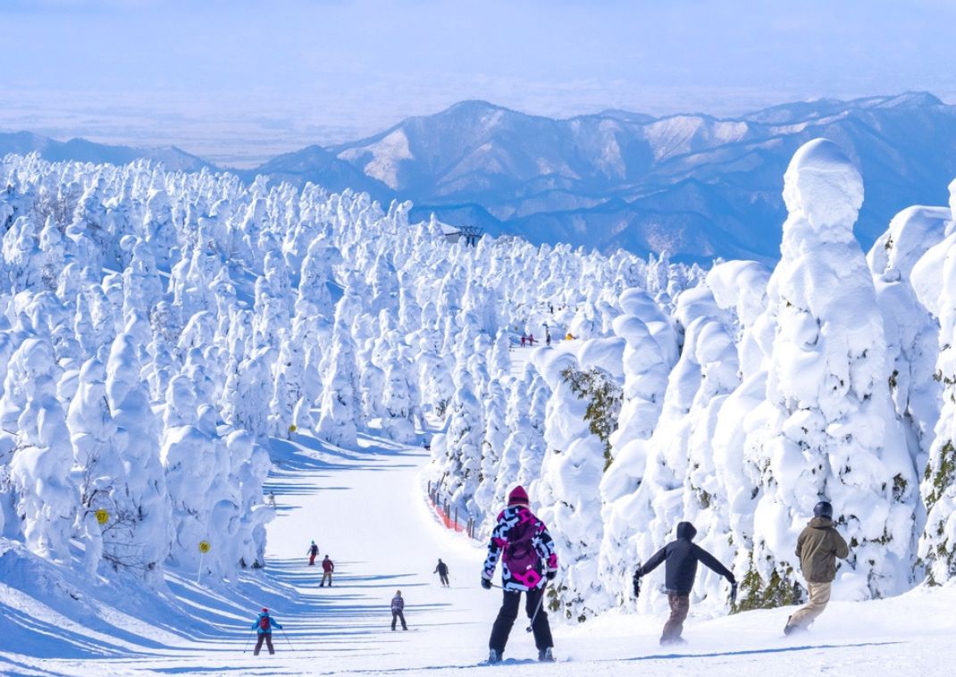 Esquiadores entre árboles cubiertos de nieve con montañas al fondo