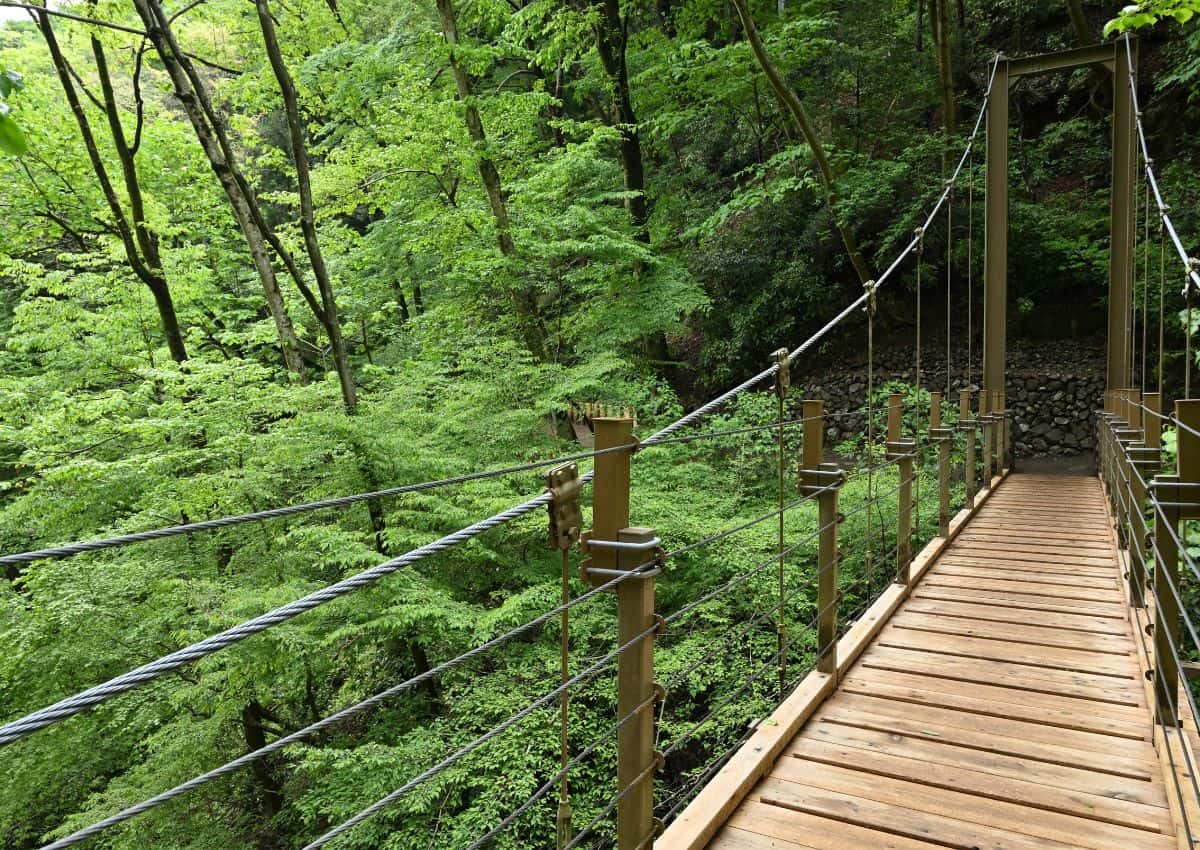 Pagoda en las cataratas de Nachi, en la ruta de peregrinación de Kumano Kodo, Japón