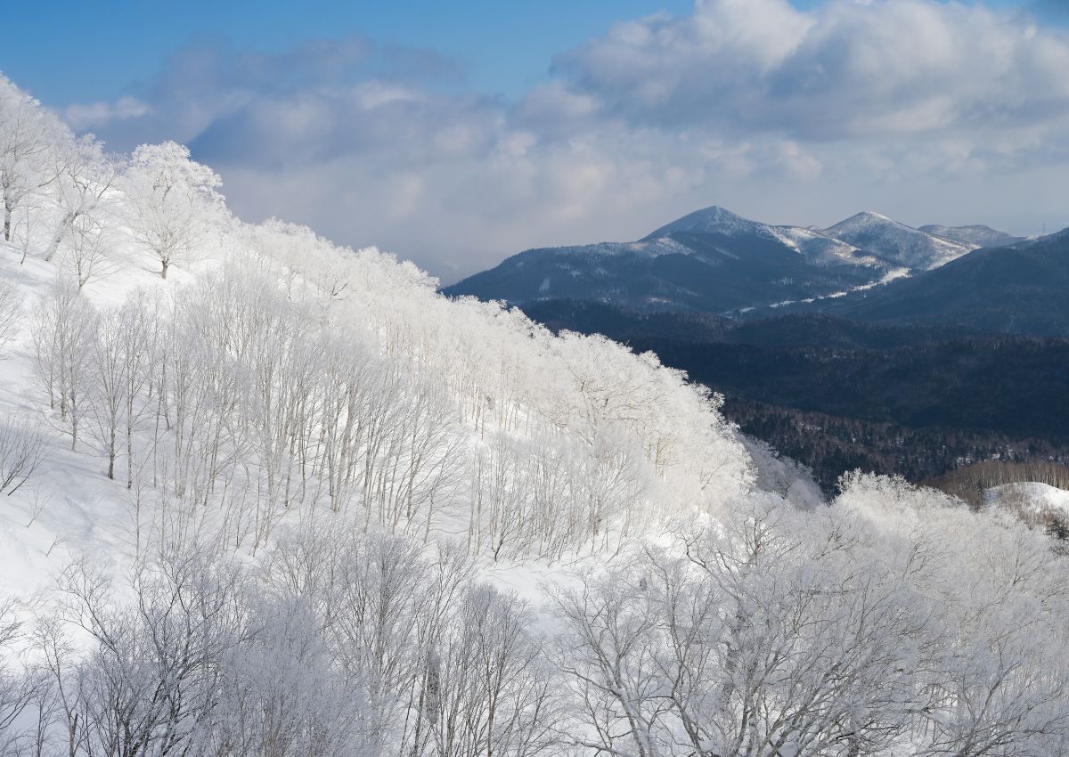 Tomamu resort de esquí, Hokkaido