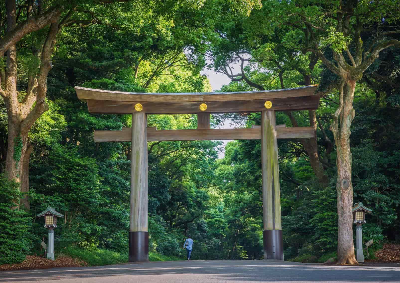 Santuario Meiji Jingu, Tokio