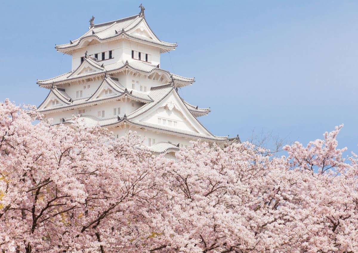 Castillo de Himeji en la época de los cerezos en flor