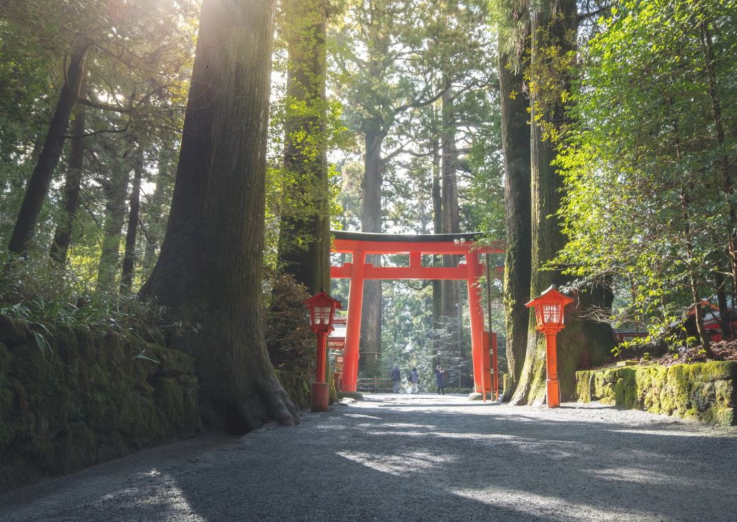 Sendero boscoso iluminado por el sol que conduce a un torii rojo tradicional y faroles en un santuario sintoísta en Hakone, Japón, rodeado de altos cedros.