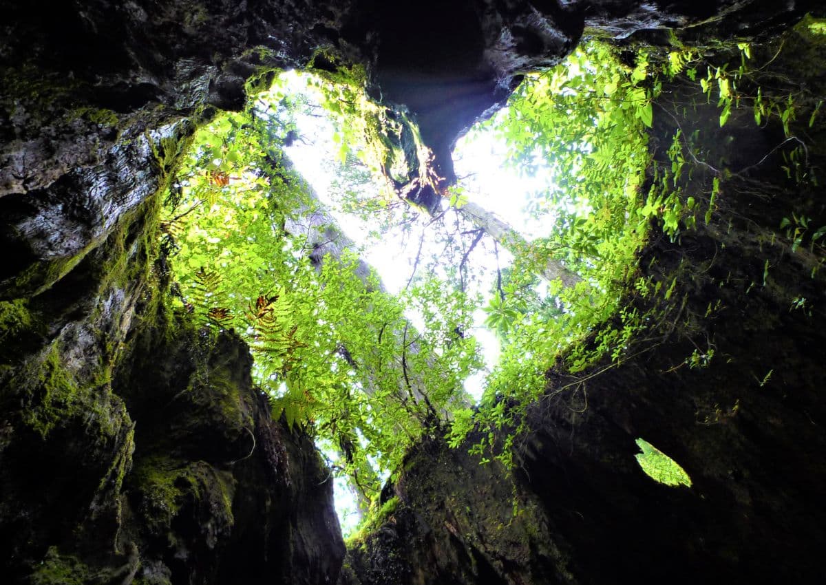 Cueva con una abertura en forma de corazón en Yakushima