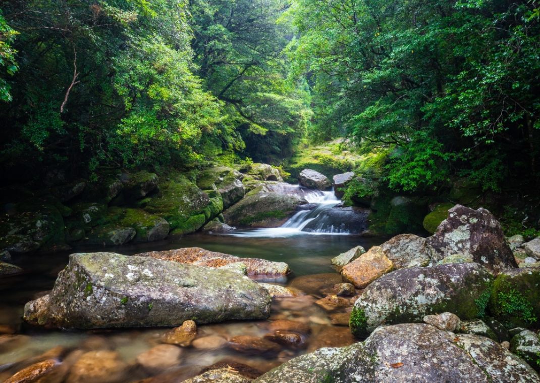 Garganta Shiratani Usuikyo, Yakushima