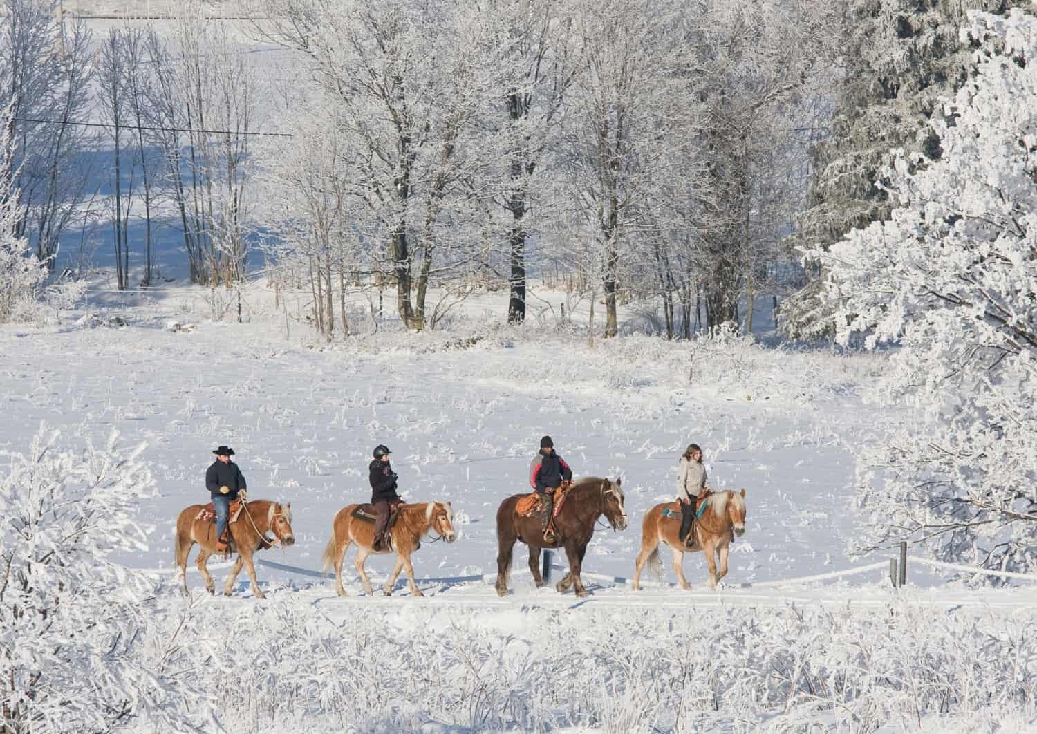 Paseo a caballo en la nieve