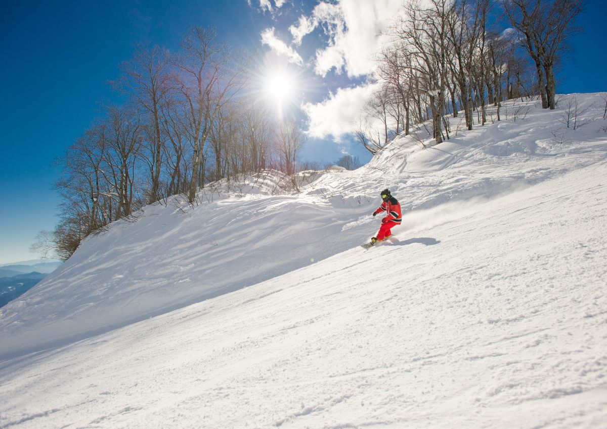 Esquiador haciendo carving en una montaña japonesa en invierno