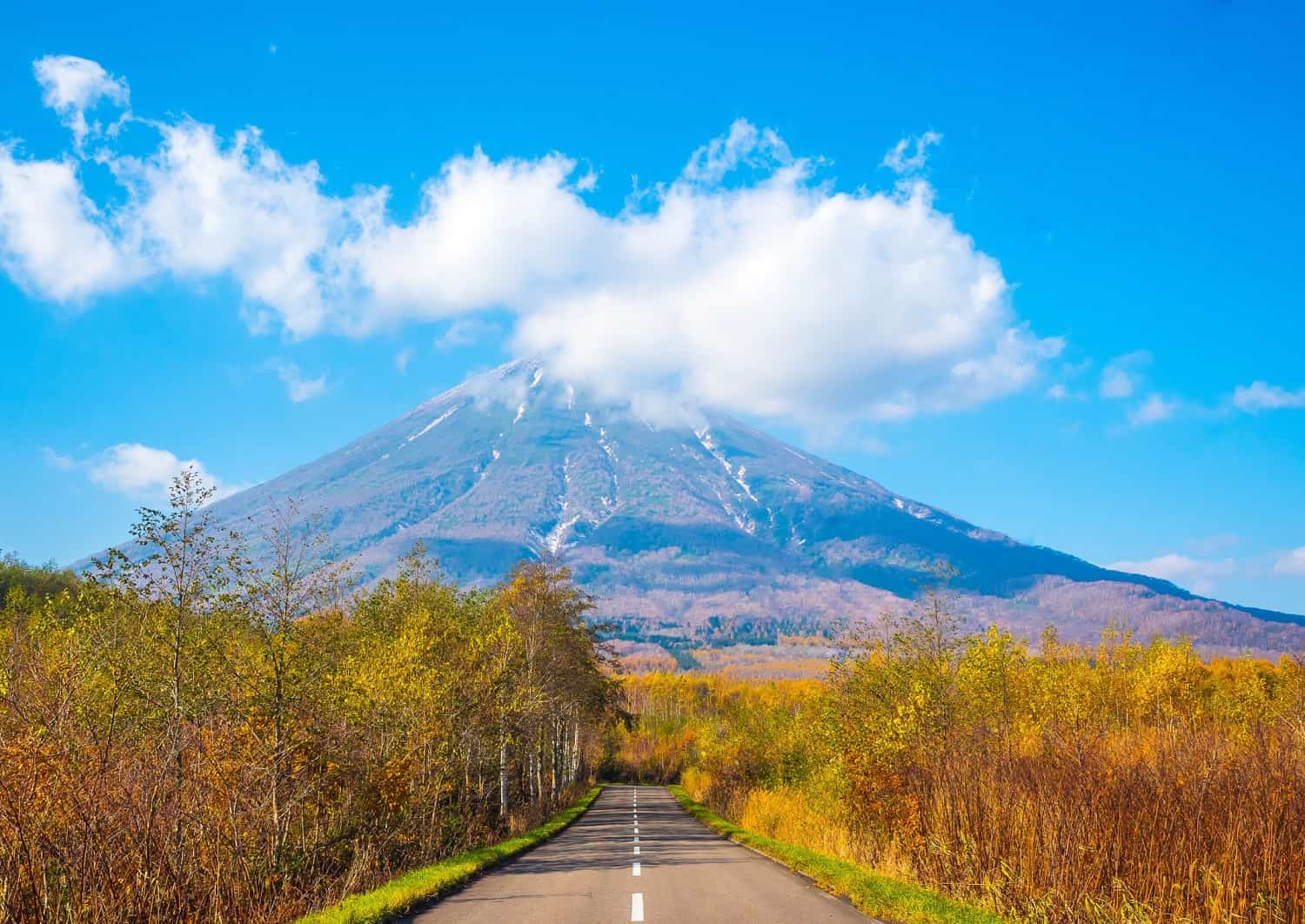 Carretera en Niseko en verano