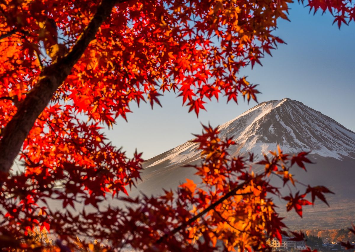 Monte Fuji en otoño