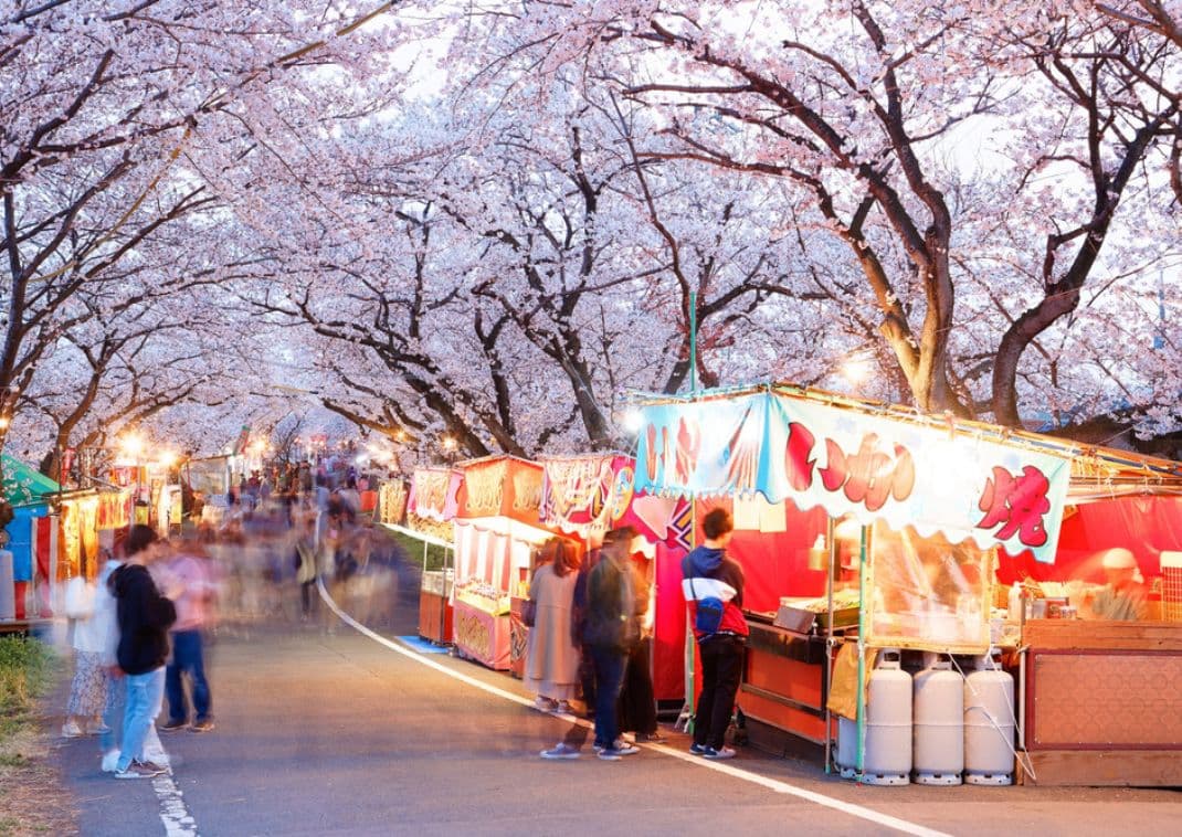Festival de los cerezos en flor en Japón con gente corriendo de un lado a otro