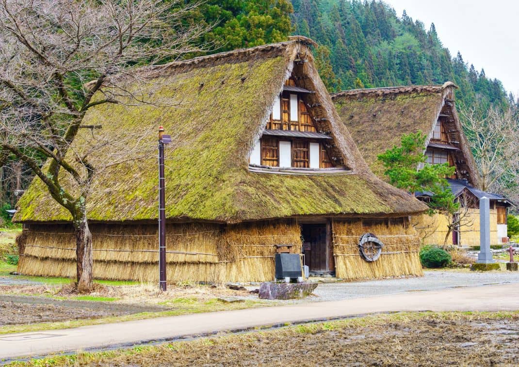  Vista de Shirakawa-go con arrozales, aldea y casas históricas con montaña al fondo, Japón