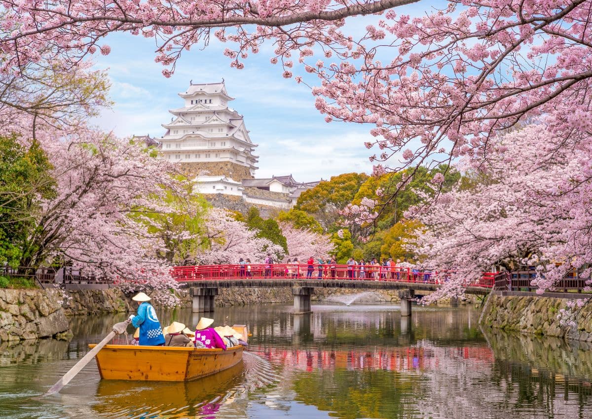 Paseo en barco por el foso del castillo de Himeji en primavera, Japón
