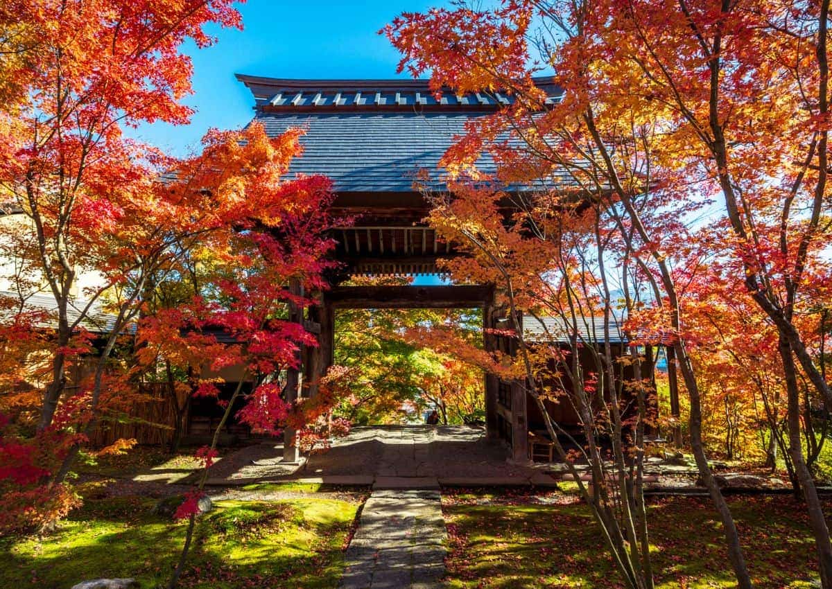 Hojas de otoño en Japón alrededor de la puerta del templo