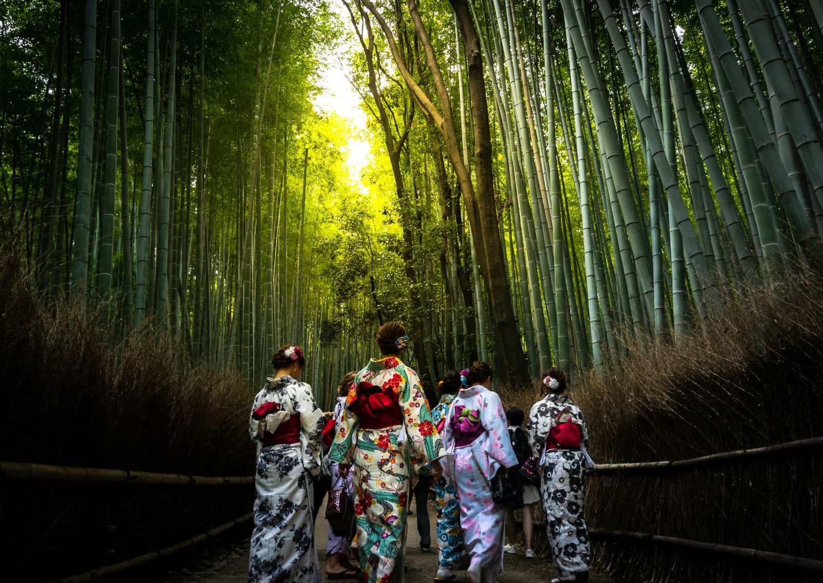 Chicas vestidas con kimono en el bosque de bambú de Arashiyama, Kioto