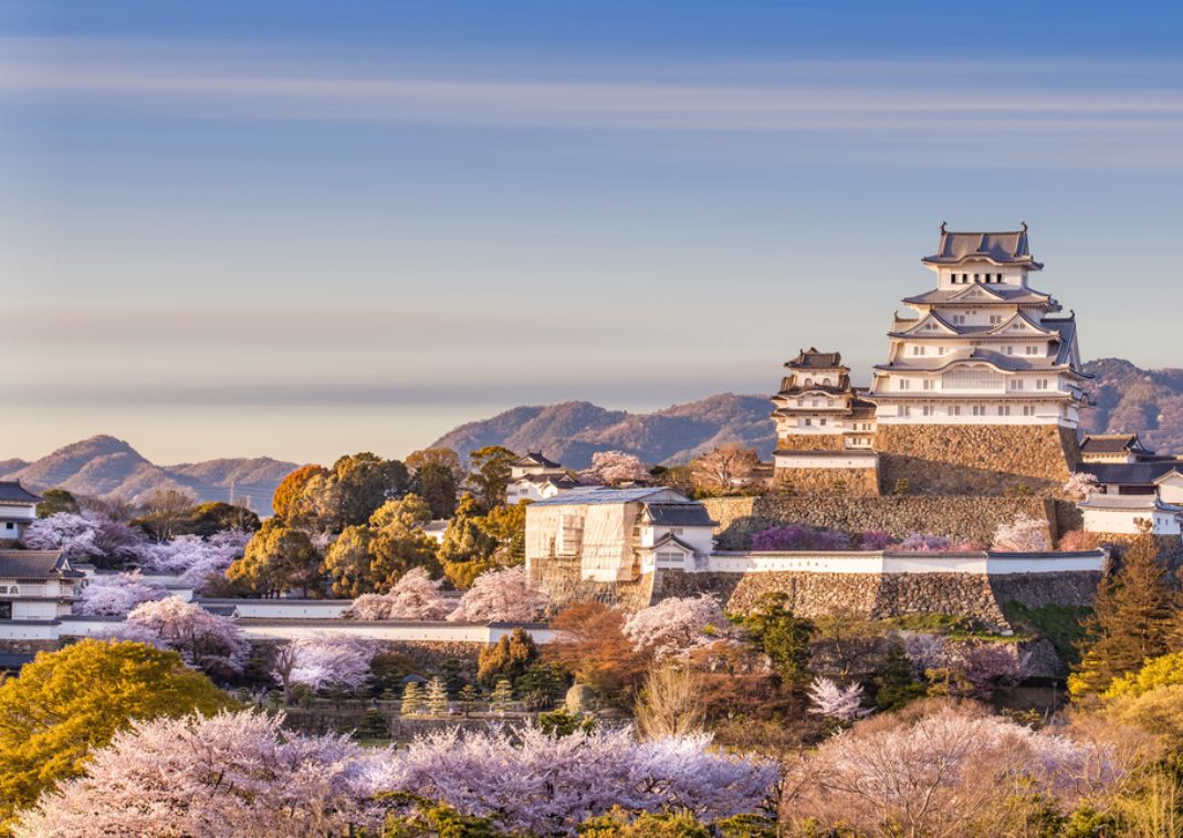 Castillo japonés tradicional de paredes blancas rodeado de cerezos en flor, con montañas al fondo bajo un cielo despejado.