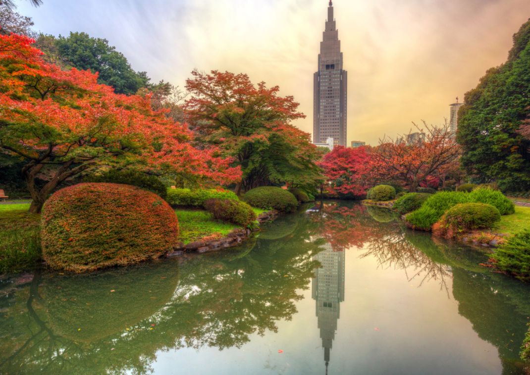 Parque Shinjuku, una parada en tu recorrido por las localizaciones del anime Your Name, en Tokio.