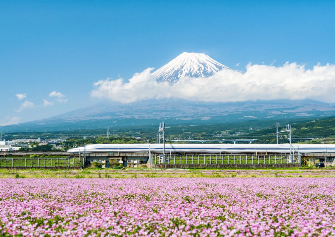 Asientos de un tren bala o shinkansen en Japón