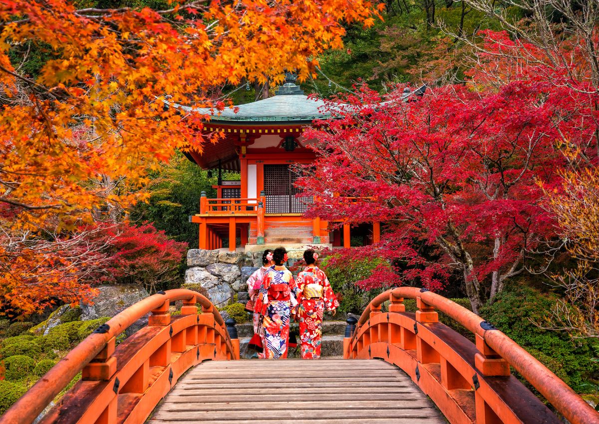 Jóvenes vistiendo yukata tradicional en el templo Daigo-ji con coloridos árboles de arce rojo en otoño