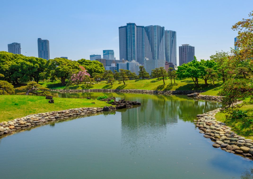 Jardín paisajístico japonés con un gran estanque, árboles cuidados y rascacielos modernos de la ciudad al fondo bajo un cielo azul despejado.