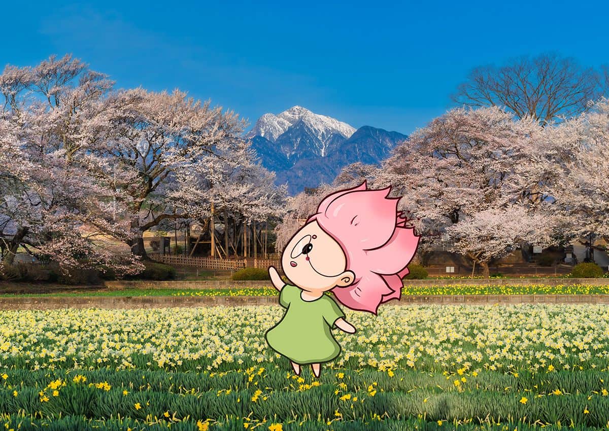 La mascota Mono-chan junto a un cerezo en Yamanashi, Japón.
