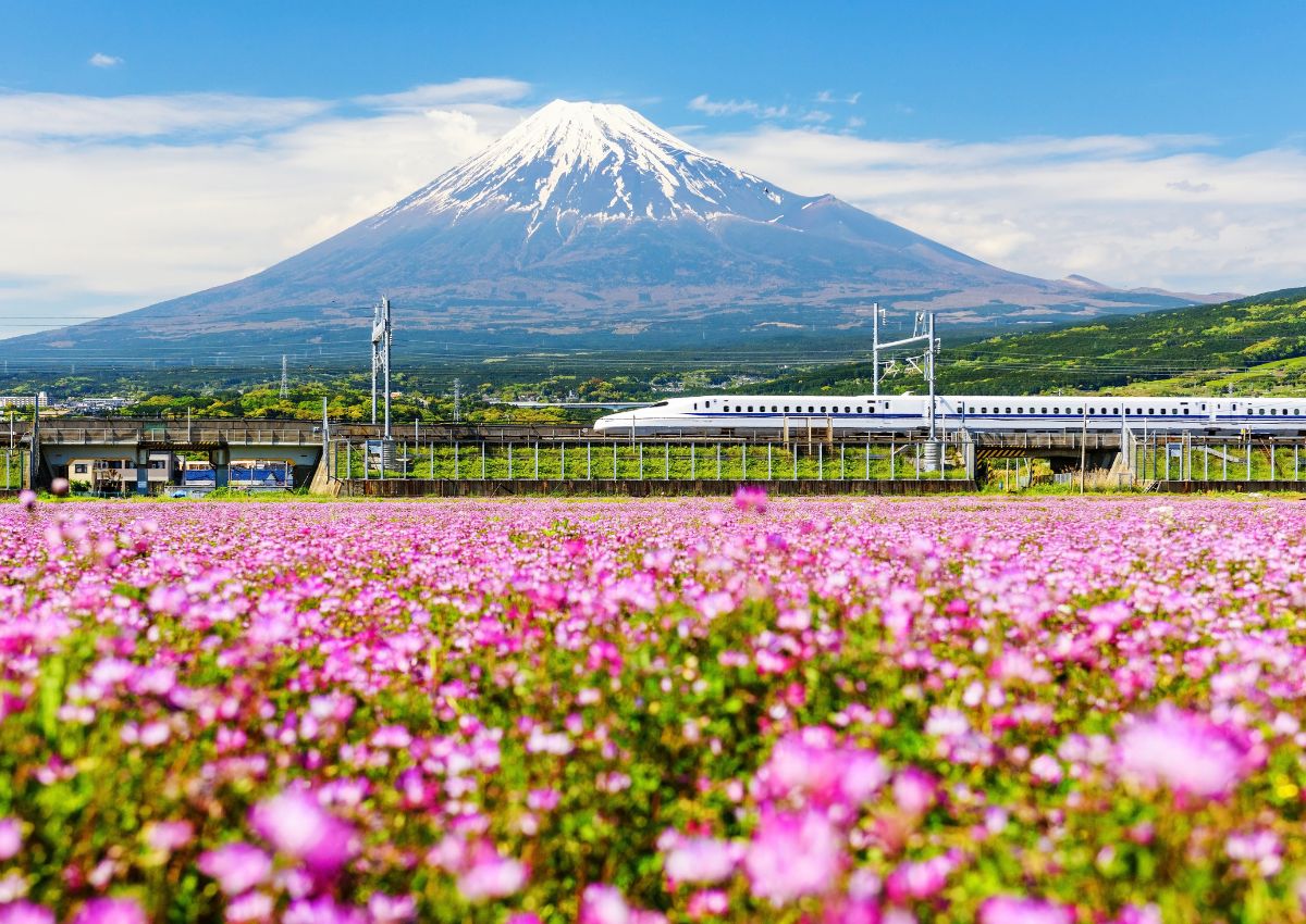 Mujer delante de un tren shinkansen en la estación de Tokio