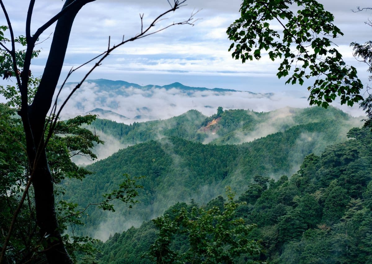 Vistas matutinas desde el monte Koya, Japón