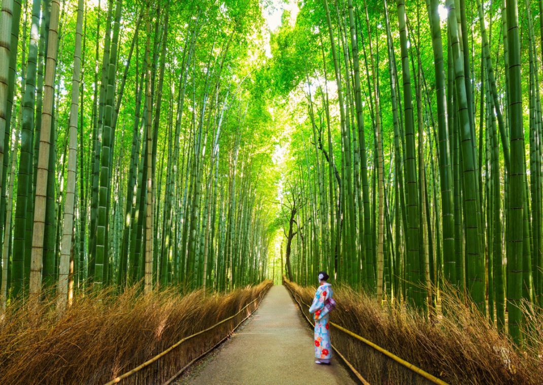 Chica con yukata en el bosque de bambú de Arashiyama, Kioto, Japón.  