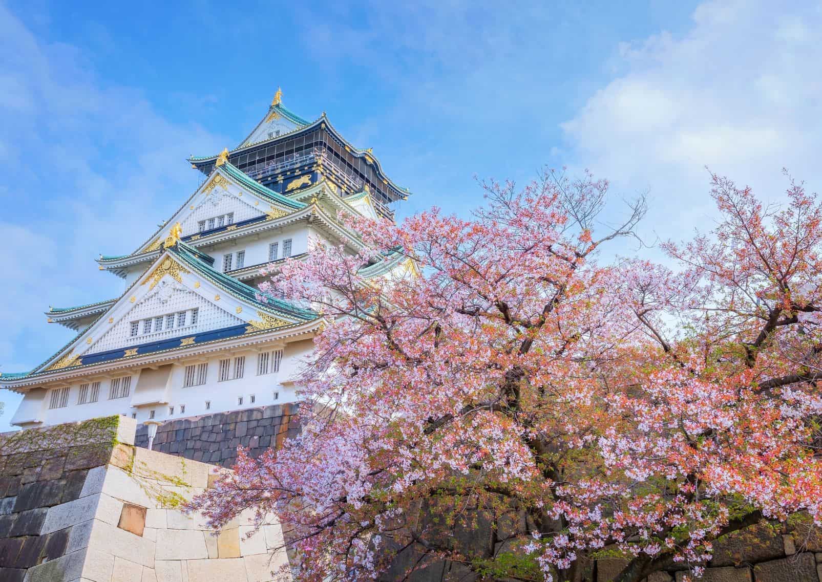 El castillo de Osaka enmarcado por cerezos en flor en un día soleado