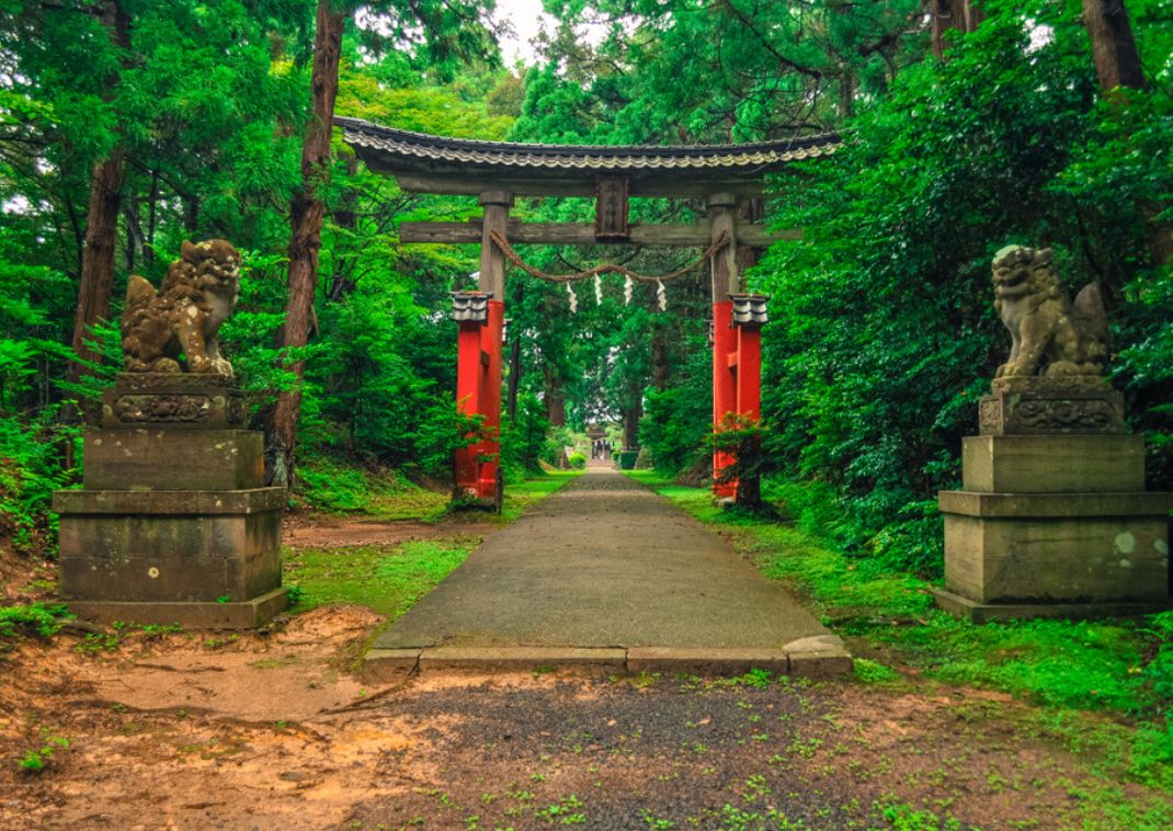 Torii tradicional japonés en la entrada de un santuario rodeado de bosque.