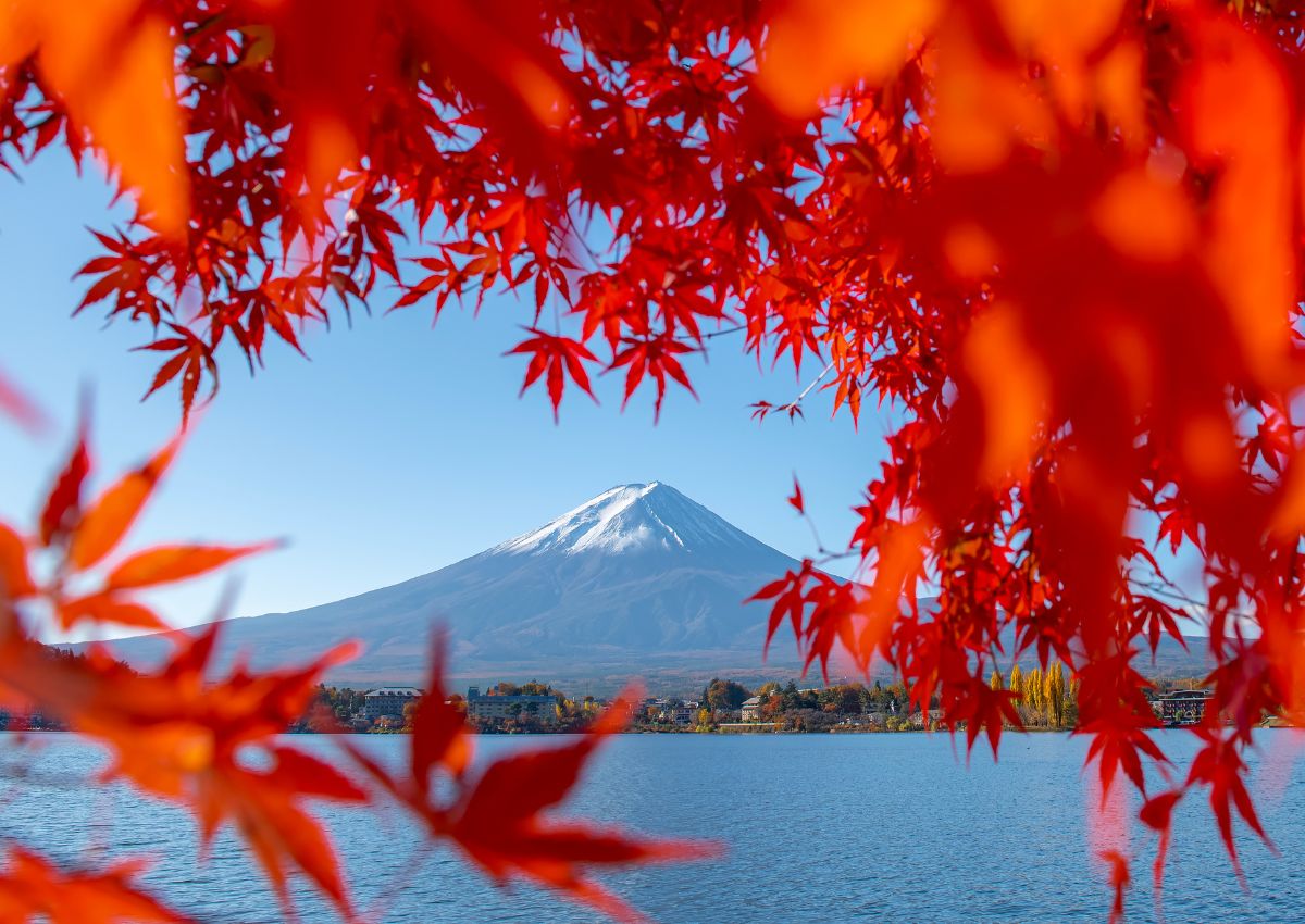 El monte Fuji con hojas de arce rojas en otoño