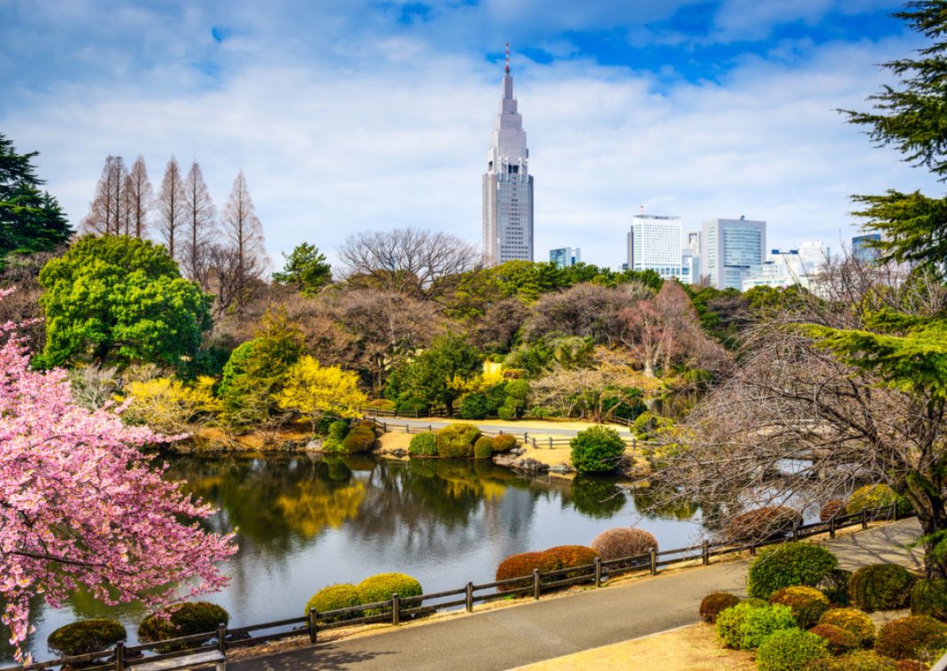 Jardín japonés con estanque reflectante, cerezos en flor y edificios de la ciudad al fondo en un día parcialmente nublado.