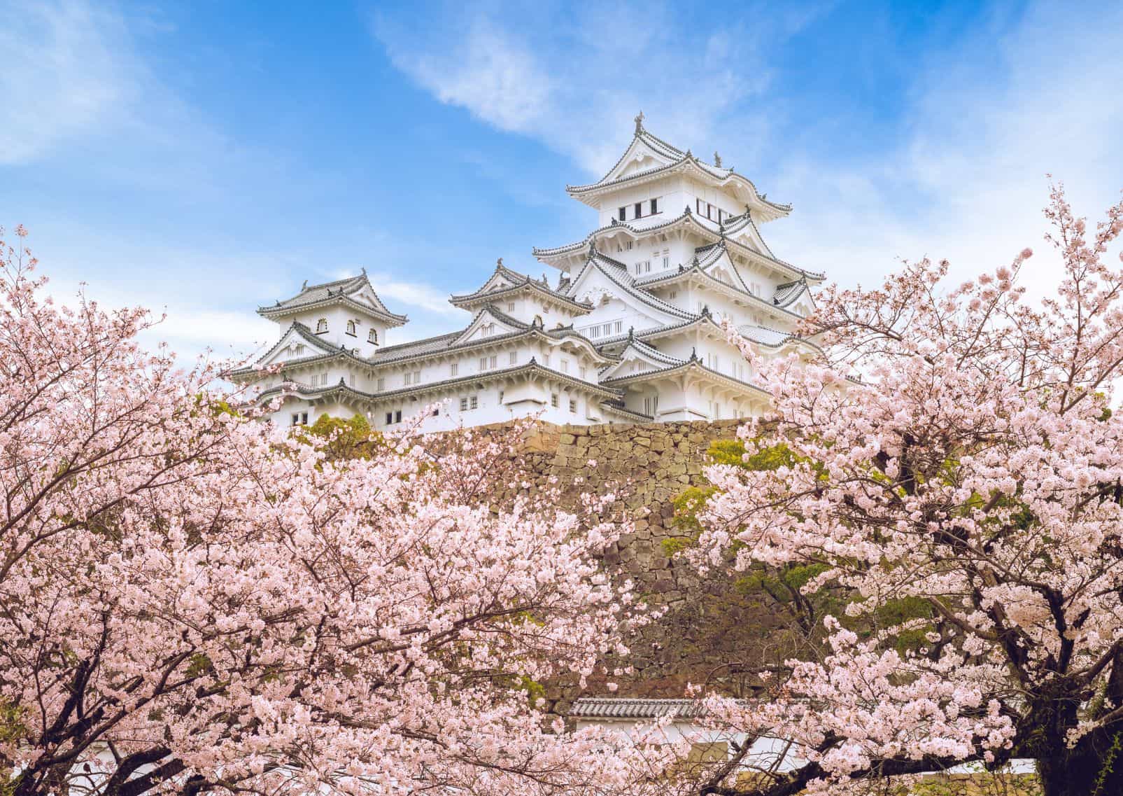 El castillo de Himeji en la temporada de los cerezos en flor, Japón