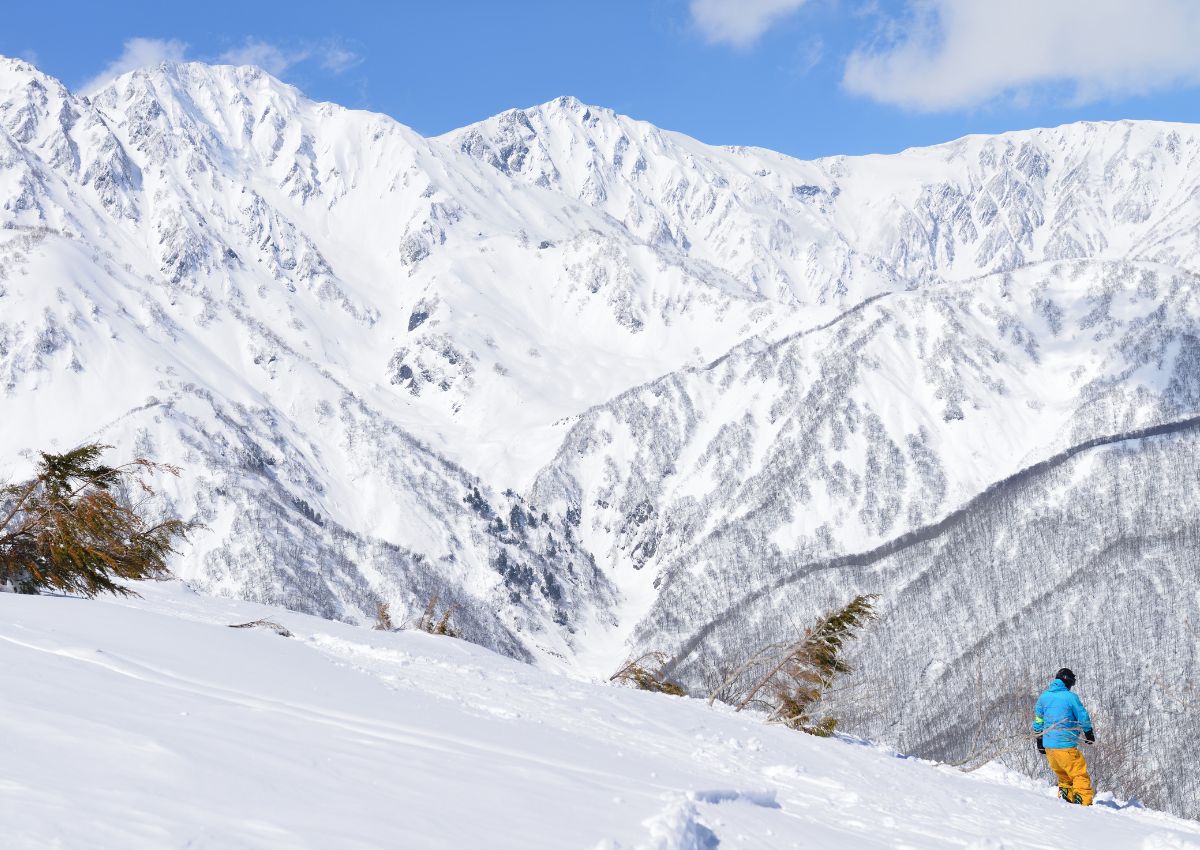 Esquiador en pistas de Hakuba, Nagano, Japón