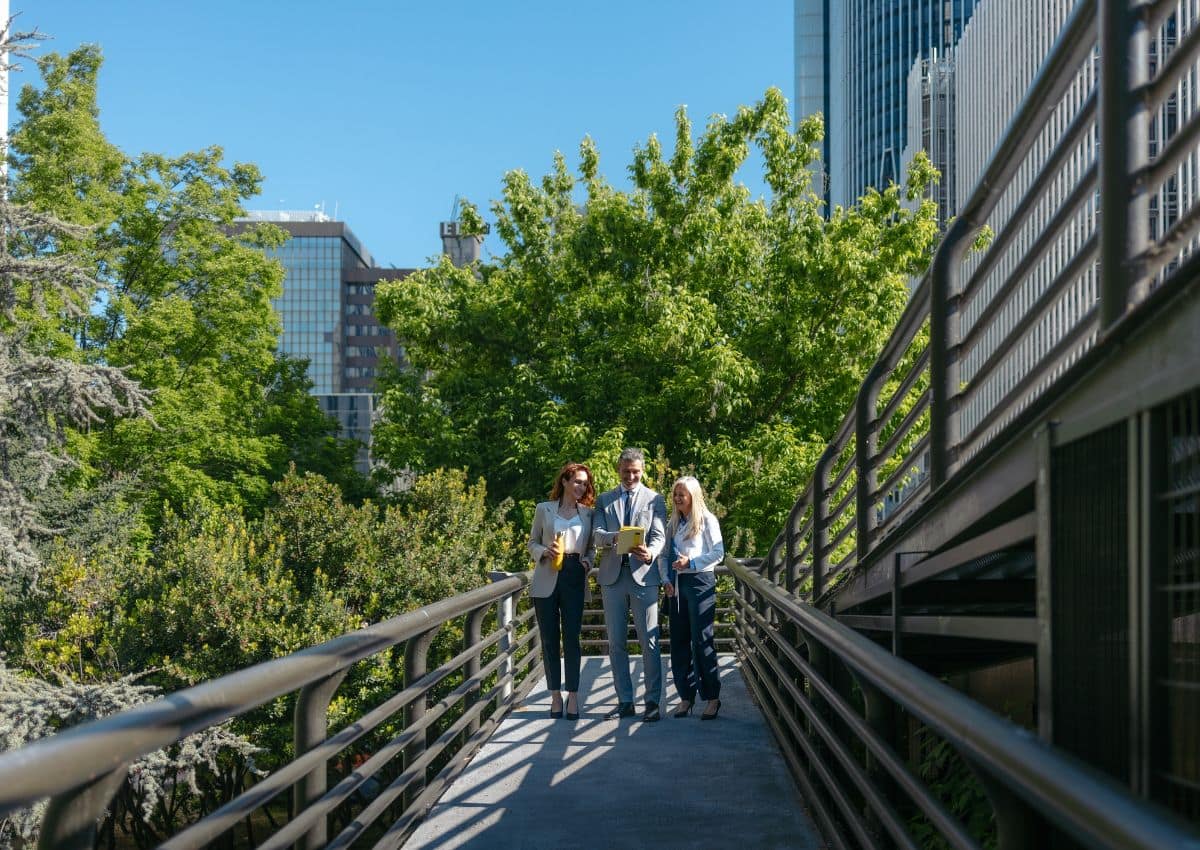 Personas caminando por un puente rodeado de vegetación