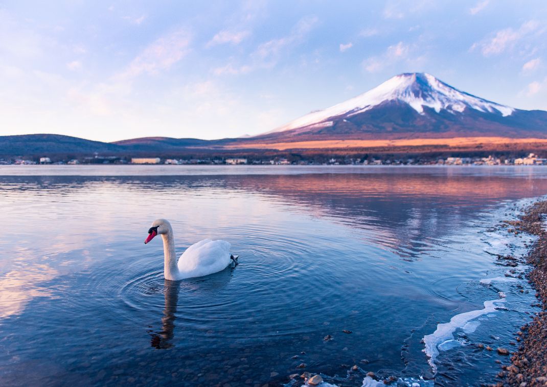 Vista del monte fuji al final del lago, en Japón