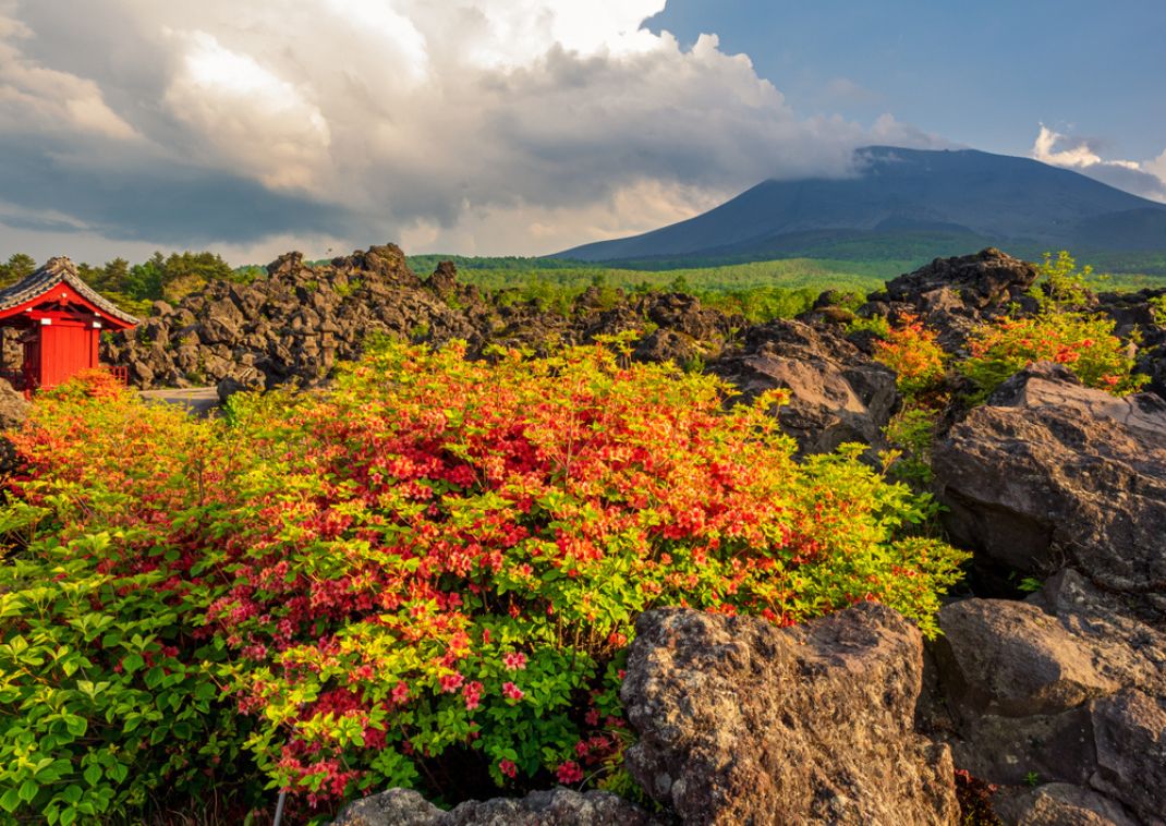 Rocas volcánicas en el Parque Onioshidashi, cerca del monte Asama, en Japón.
