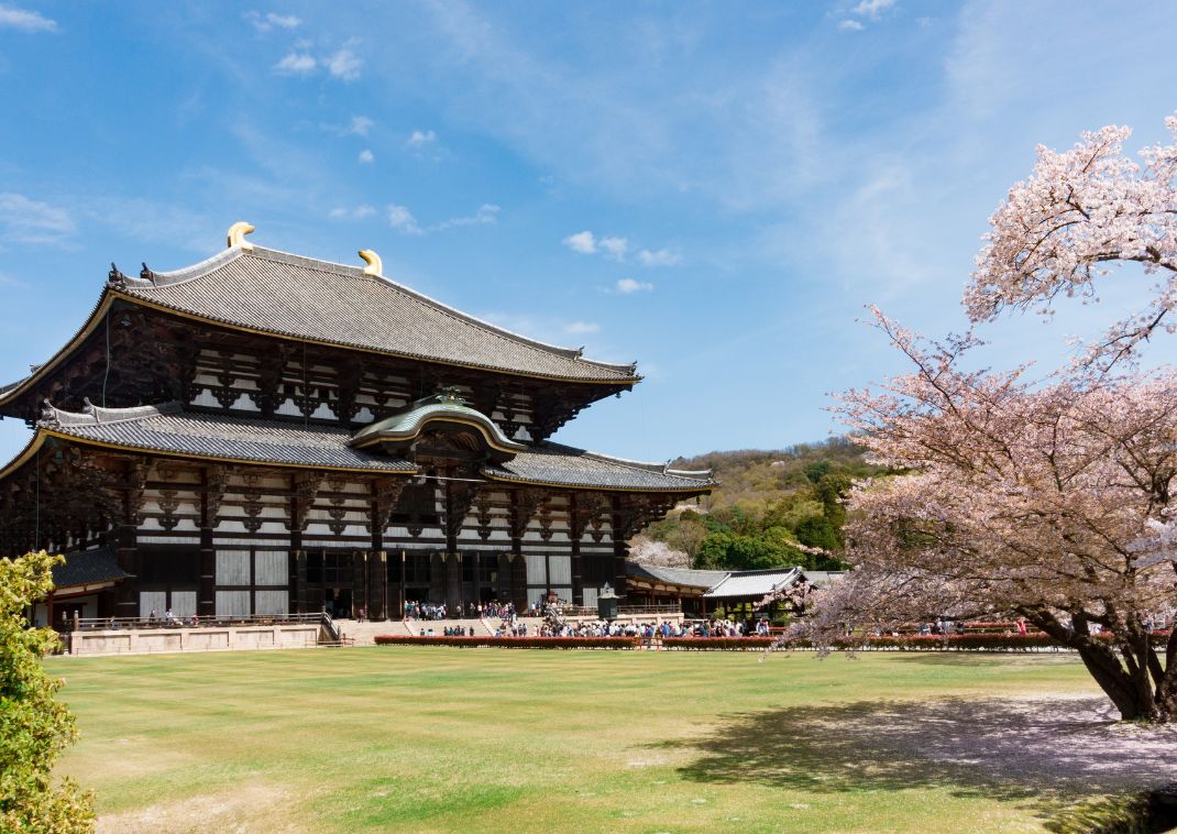 Templo Todaiji durante la temporada de sakura, Nara, Japón
