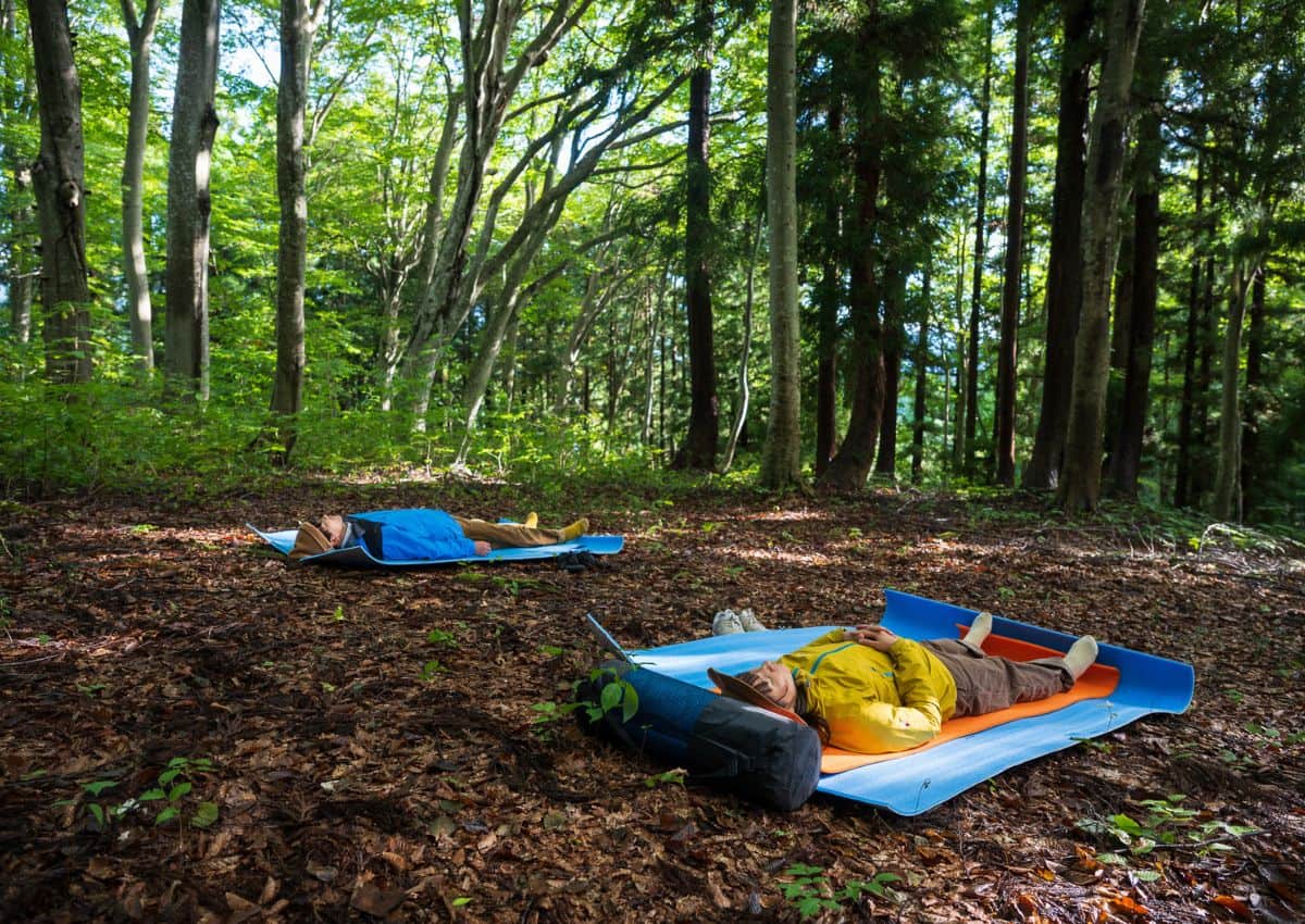 Personas tumbadas en el suelo del bosque durante una experiencia de 