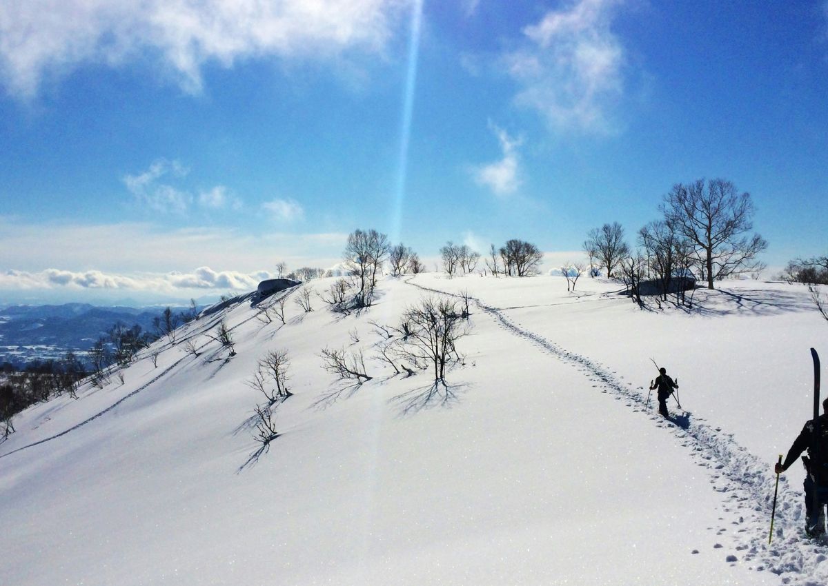 Esquiadores de freeride en la montaña de Niseko, Hokkaido