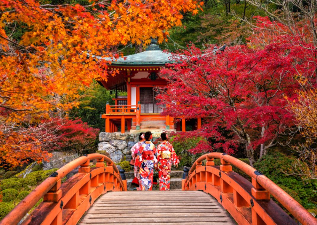 La Temporada De Clima Frío En Japón. Fotos, retratos, imágenes y