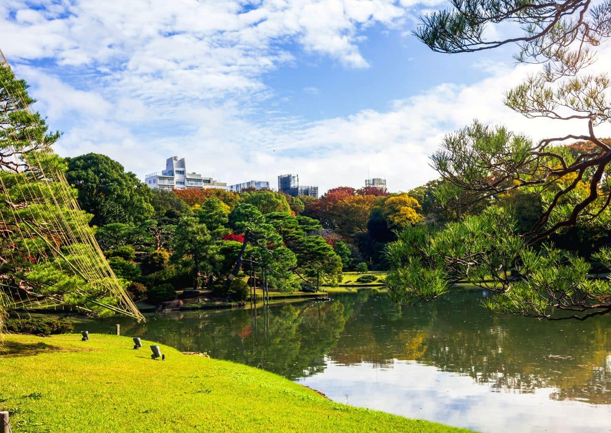 Un estanque tranquilo en el jardín Rikugien de Tokio