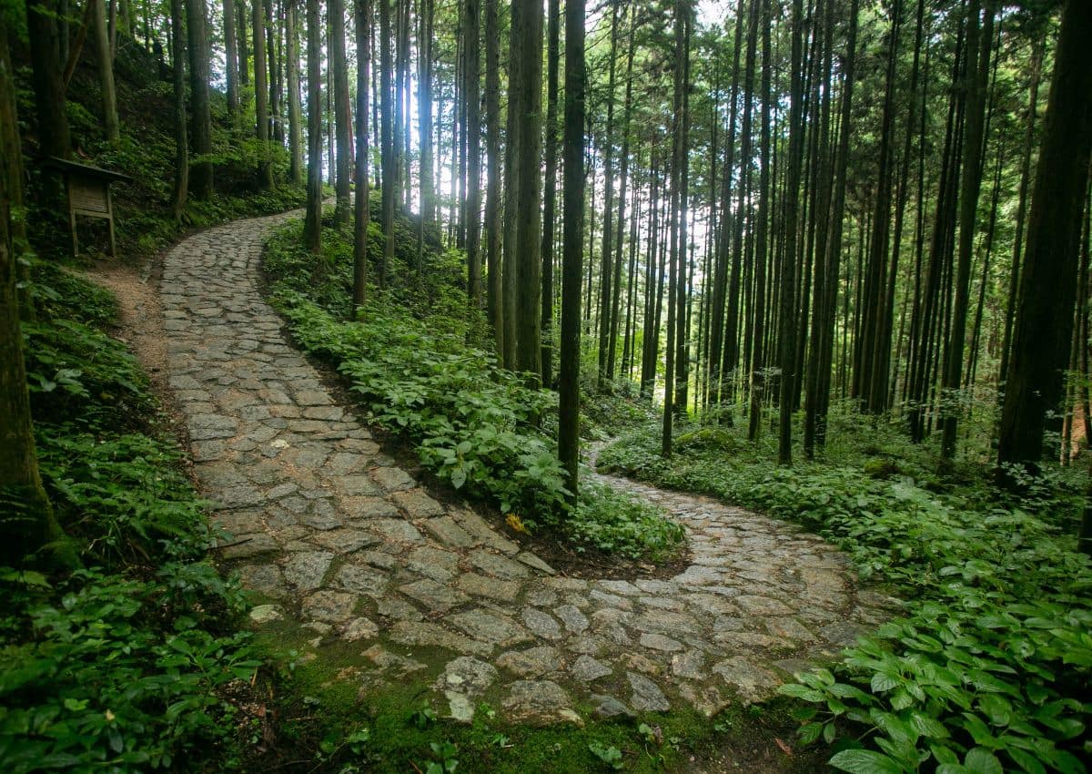 Tramo de la ruta Nakasendo entre Tsumago y Magome