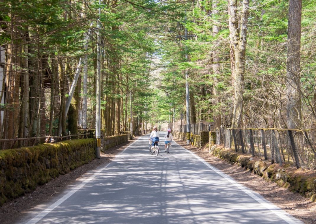 En bicicleta por los caminos del bosque de Karuizawa.