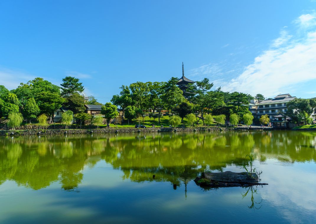 Parque de Nara, Japón