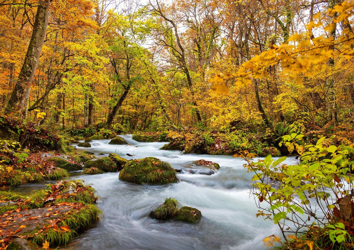 Garganta de Oirase en otoño, Aomori, Japón