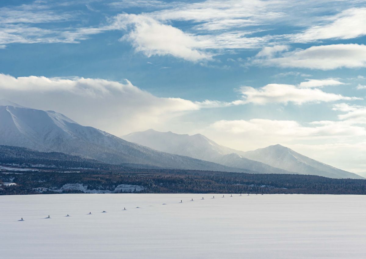 Paisaje de invierno en Biei, Hokkaido